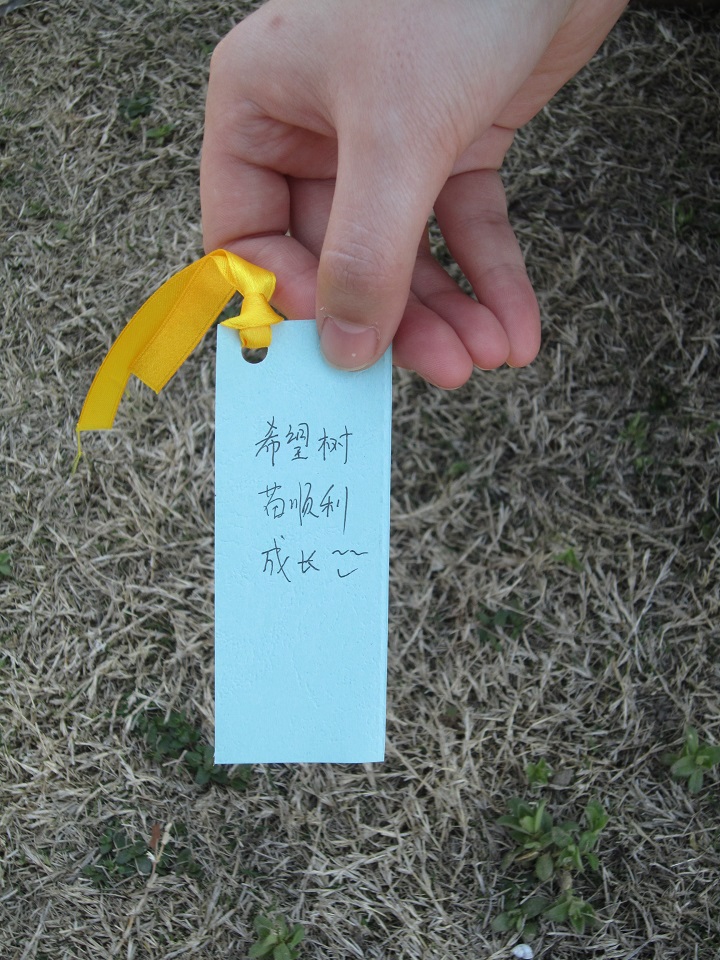 台湾av女优