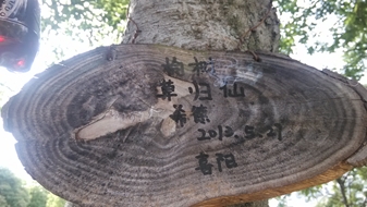 台湾av女优